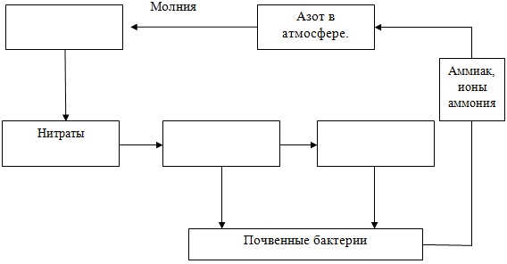 Дополните схему описывать