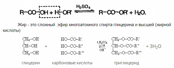 Карбоновые кислоты – статья – Корпорация Российский учебник (издательство  Дрофа – Вентана)