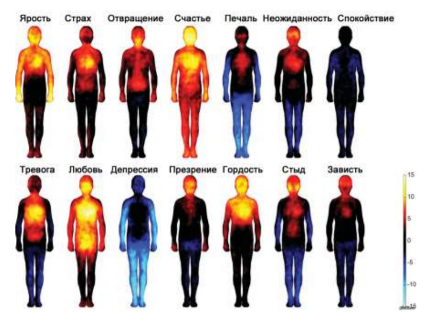 Эмоции и температура тела