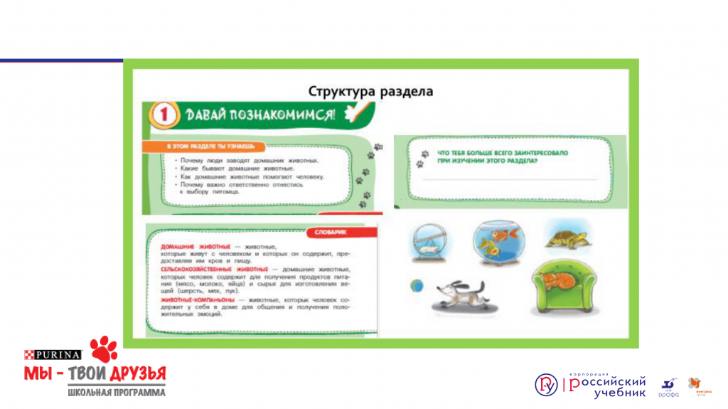 Презентация. Формирование социальной ответственности у школьников. Программа внеурочной деятельности «Мы – твои друзья» Презентация. Формирование социальной ответственности у школьников. Программа внеурочной деятельности «Мы – твои друзья»-34.png