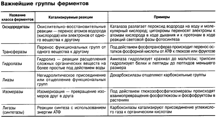 Ферменты практическая работа. Ферменты практическая работа. Влияние рн на активность ферментов амилаза. Лабораторная работа ферментативное расщепление. Ферменты практическая работа.